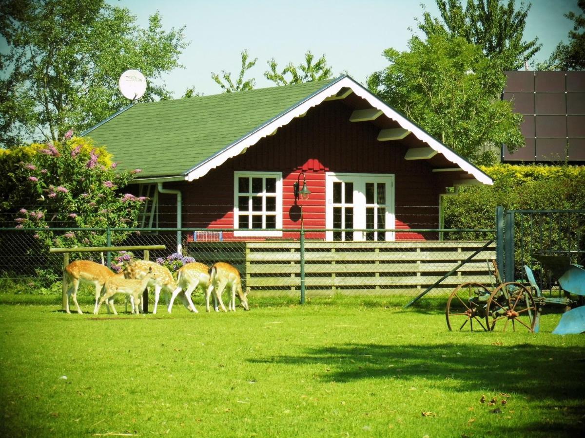 Vakantiehuisjes Landgoed Sonneborghe Kollumerzwaag Eksteriør billede
