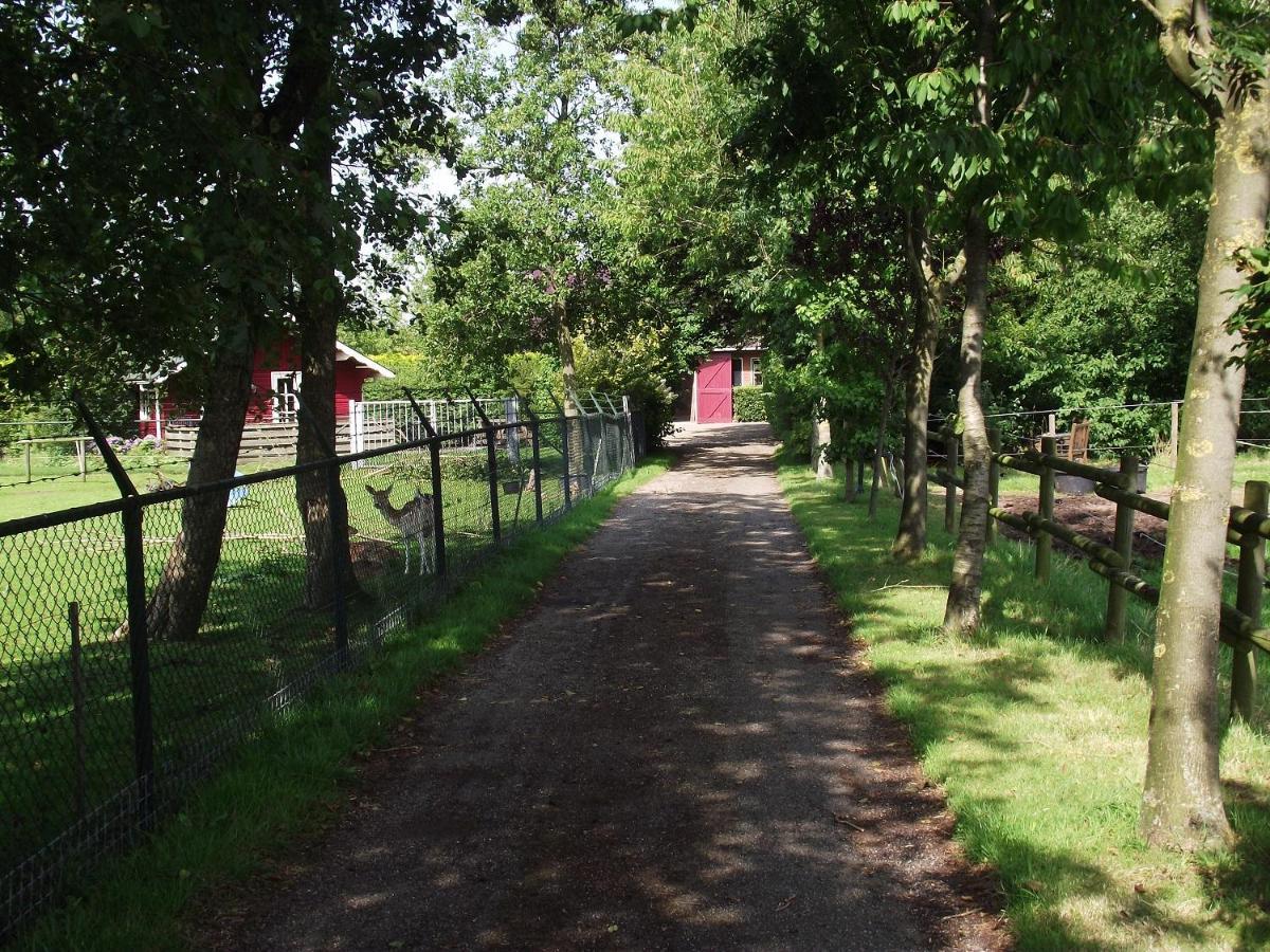 Vakantiehuisjes Landgoed Sonneborghe Kollumerzwaag Eksteriør billede