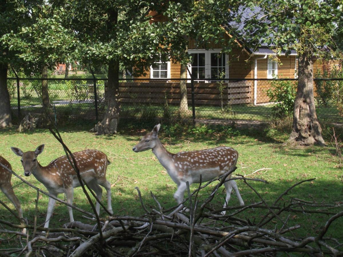 Vakantiehuisjes Landgoed Sonneborghe Kollumerzwaag Eksteriør billede